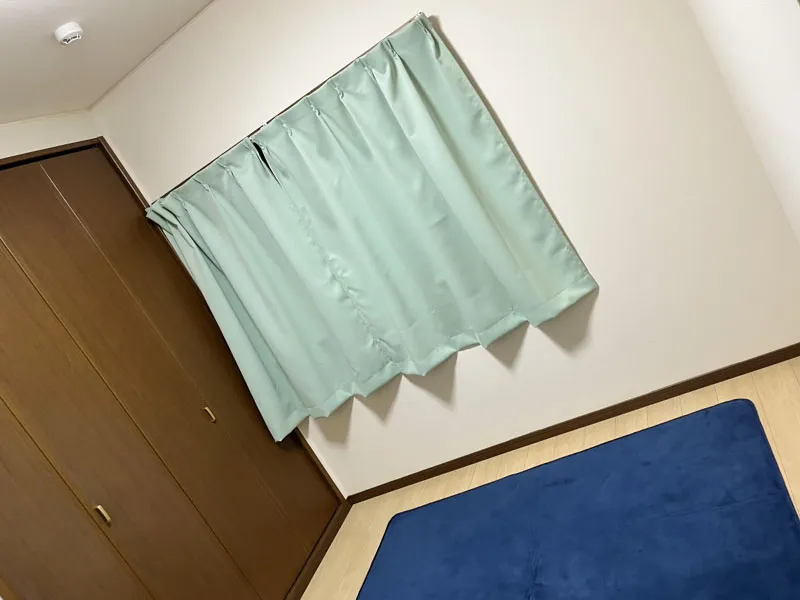 クローゼットは大きく収納も十分だ